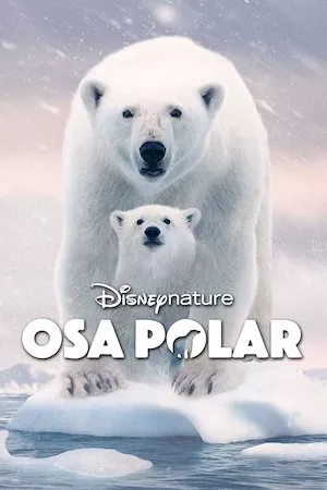 Pelisplus Osa Polar