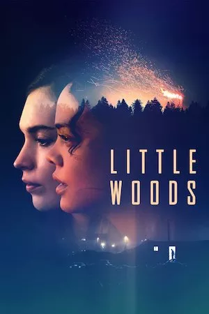 Pelisplus Little Woods