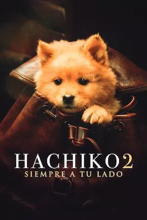 Pelisplus Hachiko