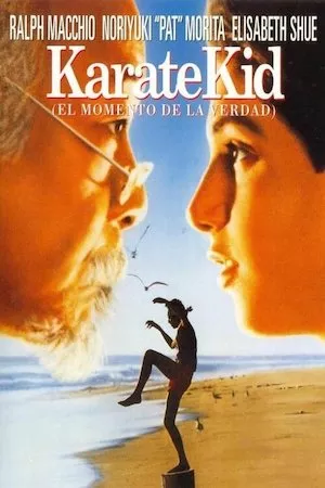 Pelisplus Karate kid, el momento de la verdad