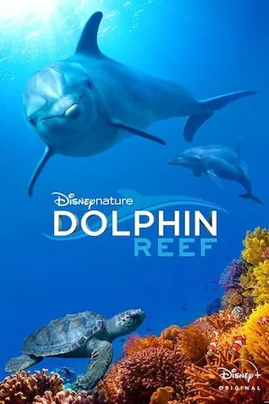 Pelisplus Dolphin Reef