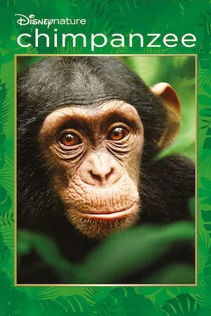 Pelisplus Chimpanzee (Chimpancés)