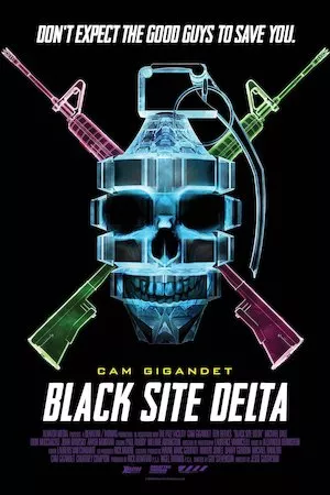 Pelisplus Black Site Delta